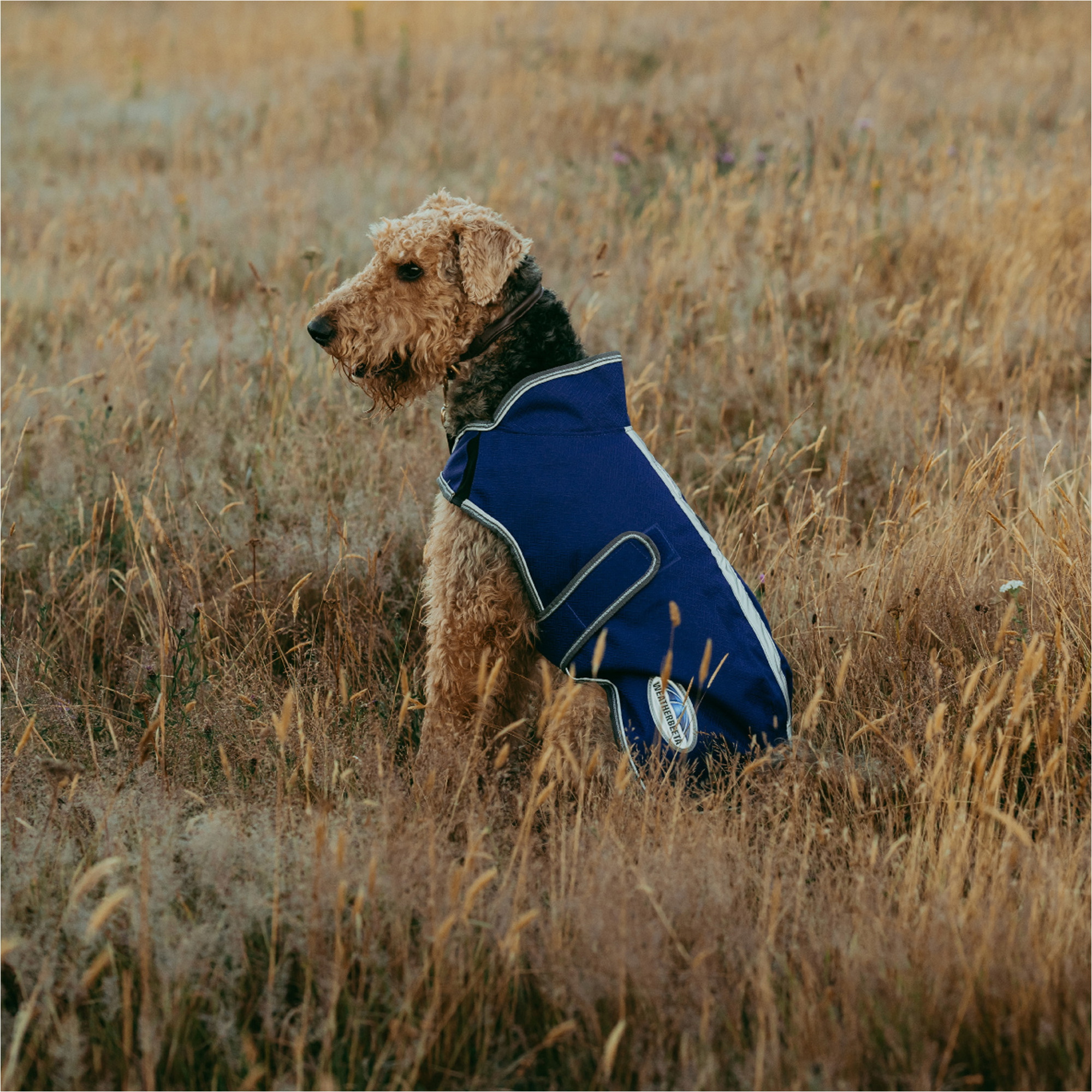Weatherbeeta Comfitec Premier Free Duo Delux Dog Coat Parka - Dark Blue